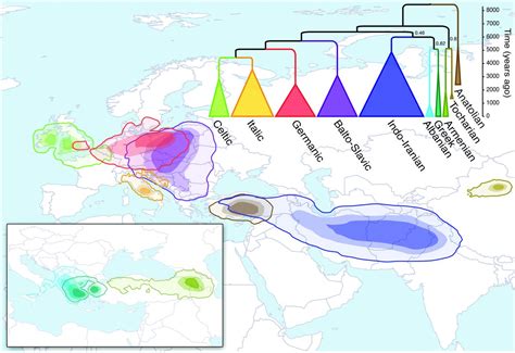 Mapping the Origins and Expansion of the Indo-European Language Family ...