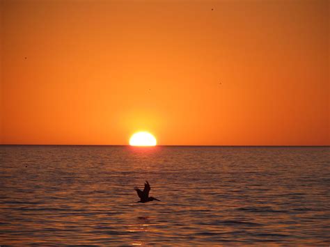 Sunset at Vanderbilt Beach, Naples Florida | Naples florida, Sunset ...