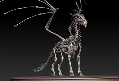 Dragon skeleton - front | dragons | Pinterest | Skeletons, Dragons and ...