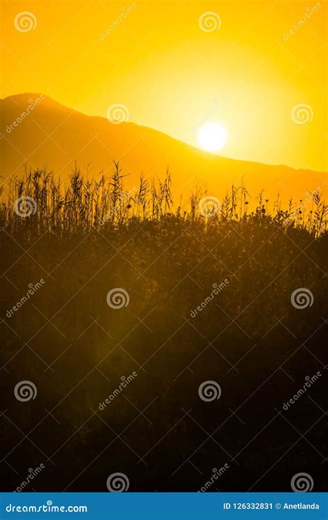 Sunrise over mountain hill stock image. Image of morning - 126332831