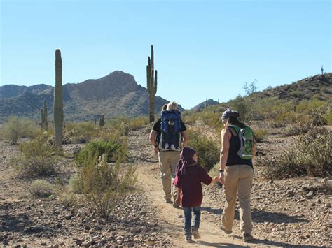 10 of the Best Hiking Trails in Phoenix, Arizona - Flavorverse