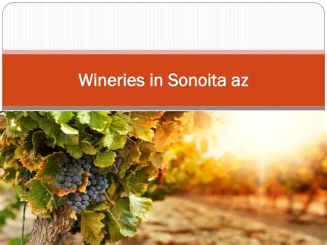 PPT - wineries in sonoita az PowerPoint Presentation - ID:7125686