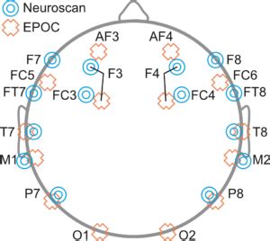 nic-setup - Sapien Labs | Neuroscience | Human Brain Diversity Project