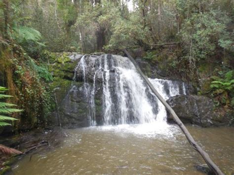 Lilydale 2020: Best of Lilydale, Australia Tourism - TripAdvisor