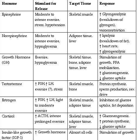 endocrinology | Nursing school survival, Pharmacology nursing, Nursing school tips