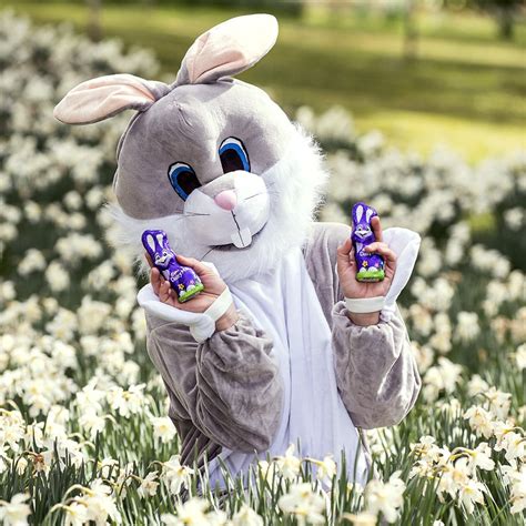 Easter Bunny, fun and chocolate too... - Warren Media