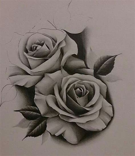 Realistic Rose Drawing at GetDrawings | Free download