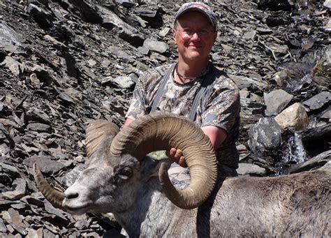 stone sheep hunting BC (2) | Big Nine Outfitters