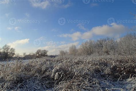 winter landscape with fresh snow and trees 22916842 Stock Photo at Vecteezy