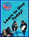 Aquatic Realm Scuba Center/PADI Scuba Diving and Snorkeling Lessons