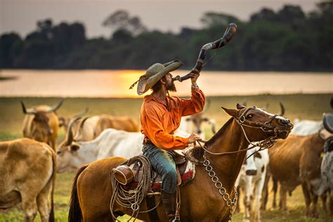 100 capítulos de 'Pantanal': Globo fecha todas ações de conteúdo e vê ...