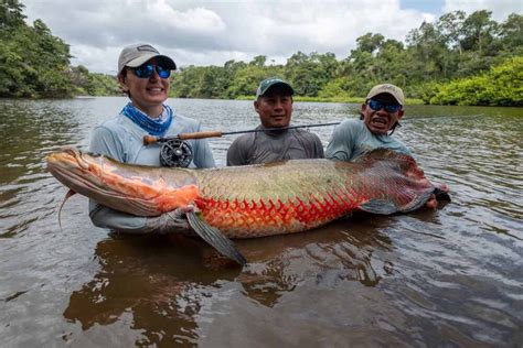 Guyana; Focus on Rewa Lodge Arapaima Fly Fishing 2022-2023 - Aardvark Mcleod