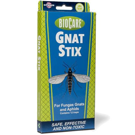 Homemade Gnat Traps That Actually Work | Family Handyman