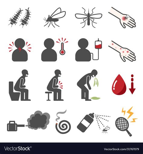 Dengue fever icon set Royalty Free Vector Image