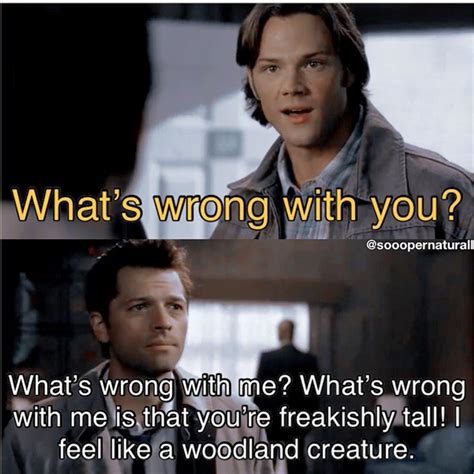 30 Funny Supernatural Memes To Brighten Your Day - The XO Factor