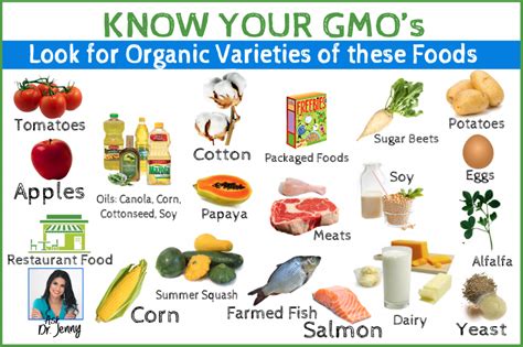 Non Gmo Foods List 2024 - Monthly Calendar 2024