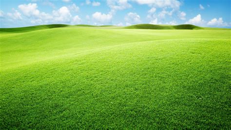 Green Landscape wallpaper | 1920x1080 | #53370