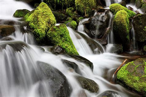 Waterfall Olympic National Park Photograph by Tom Norring - Fine Art America