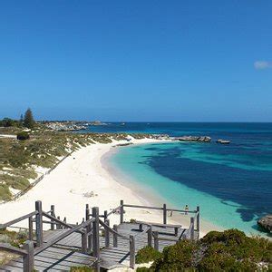 THE 10 BEST Things to Do in Rottnest Island - Tripadvisor