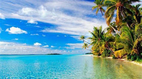 Tropical Beach Theme for Windows 10