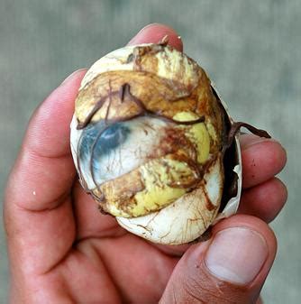 Balut Filipino Exotic Food | Filipino Foods And Recipes - Pinoy foods ...