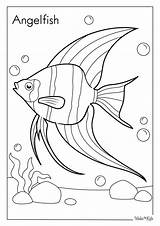 Angelfish Coloring Pages Free Printable PDFs  WakeTheKids sketch template