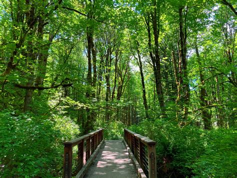 The Best Hikes in Issaquah - Ordinary Adventures