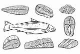 Salmon Outline Coloring Page  Free Printable Pages sketch template