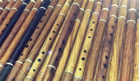 Learn About the Flute Family Tree! - Bravo Waukegan