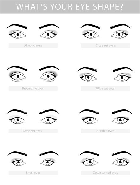 Wide Set Eyes Vs Close Set Eyes