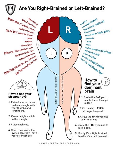 tpt-right-or-left-brain - facts | Right brain, Left vs right brain, Psychology