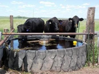 Top 10 cattle water trough ideas and inspiration