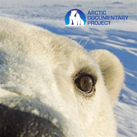 Arctic Documentary Project by Natural Exposures, Inc - Issuu