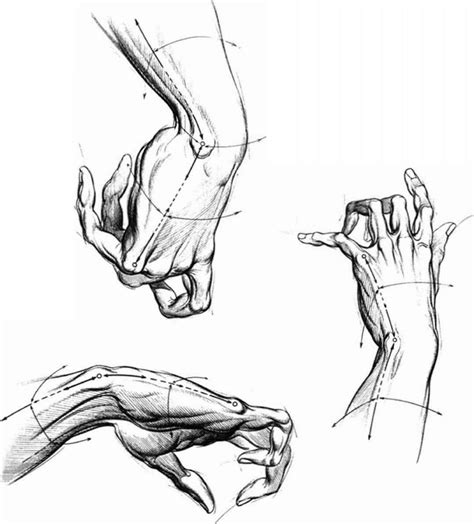 Human Arms Drawing