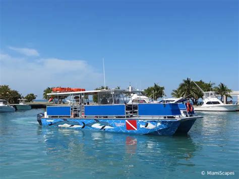 Snorkeling at Biscayne National Park