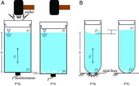 Free body diagram of the fluid column: mean liquid column height (h),... | Download Scientific ...