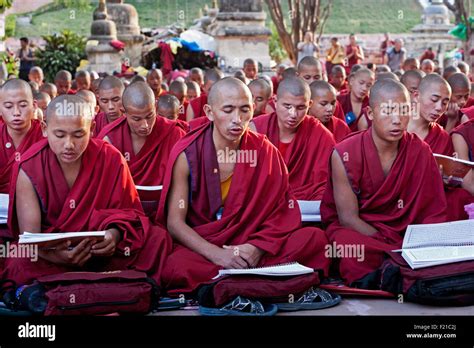 India Bihar Bodhgaya Large group of seated young Buddhist monks chanting and reading prayers at ...