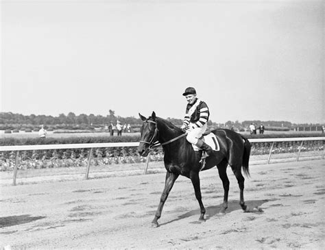 War Admiral - 1937 Picture | Horse Racing Triple Crown Winners Through ...