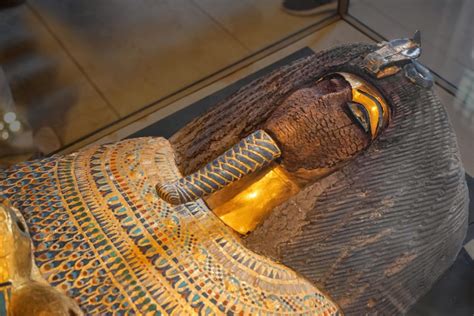 Experts Stumped After Finding Never-Before-Seen Mummification Process at Saqqara — Curiosmos