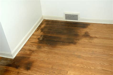 Urine Stains On Hardwood Floor From Pets - Banks Bernard