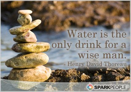 Water is the only drink for a wise man. | SparkPeople