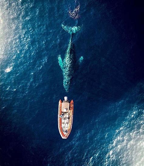 Pin by ♥Gail Frazier♥ on ocean blues | Drone photos, Drone photography ...