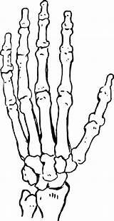 Skeleton Hand Drawing Coloring Pages sketch template