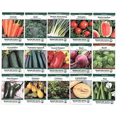 Heirloom Vegetable Garden Seed Collection - Assortment of ...