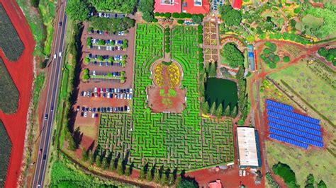 Your Guide To Visiting The Dole Plantation In Oahu, Hawaii | TouristSecrets