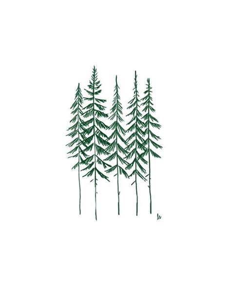 Five Evergreen Trees GREEN+WHITE, Nature Line Drawing, Holiday Forest ...