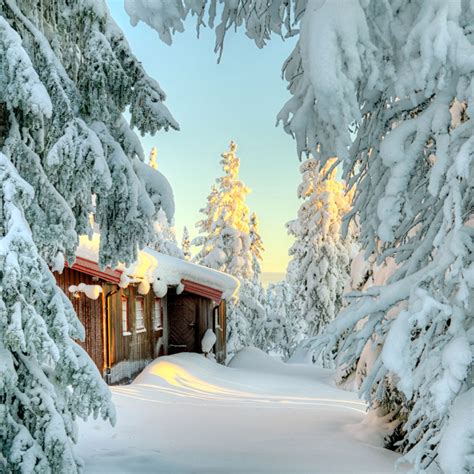 Snow-Covered Small Cabin