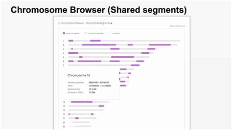 Identifying Common Ancestors with DNA - Legacy Family Tree Webinars