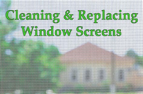 Window Screens Cleaning & Repair | Affordable Replacement Windows