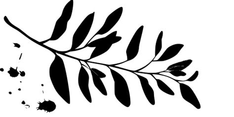 SVG > leaf cocoa branch plant - Free SVG Image & Icon. | SVG Silh